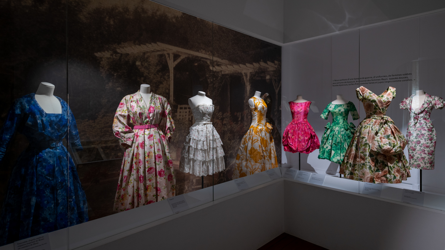 8 robe dans une vitrine de l'exposition