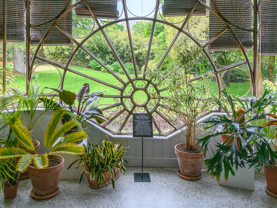 Jardin d'hiver avec plantes