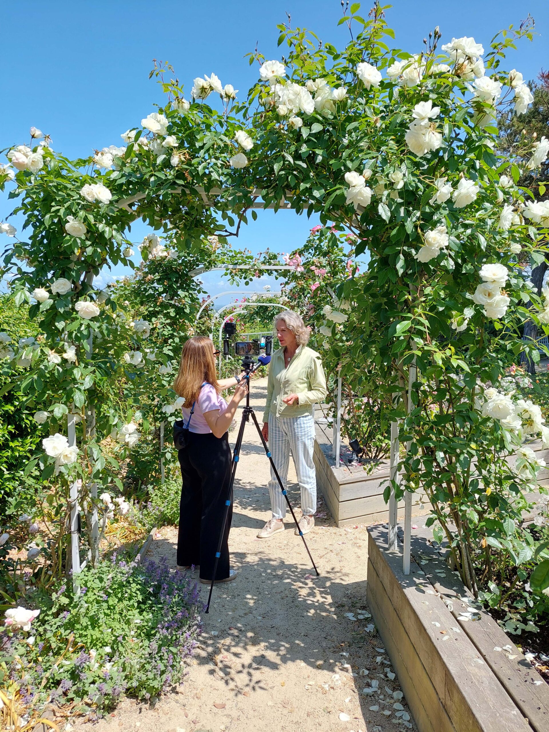 Interview dans le jardin du musée